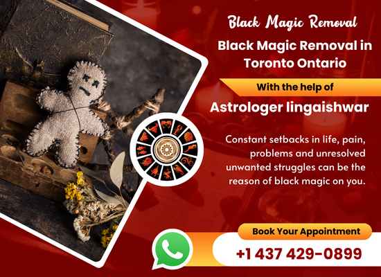 The Expert Astrologer Of Black Magic Removal in Toronto Ontario